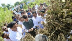 मुख्यमंत्री फडणवीस यांनी माढ्यातील निमगावात शेतकऱ्यांकडून पूर परिस्थितीची घेतली माहिती