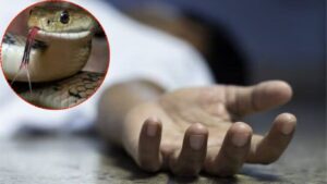 डोंबिवली खंबाळ पाडा: सापाच्या चाव्याने चार वर्षांच्या बालिकेचा मृत्यू, मावशीचा उपचारादरम्यान मृत्यू