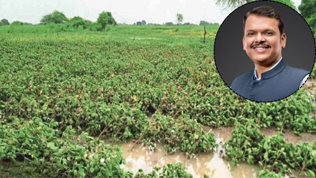 अतिवृष्टीमुळे नुकसानग्रस्त शेतकऱ्यांना मदतीचा दिलासा, 5 ऑक्टोबरपर्यंत पंचनामे पूर्ण करण्याचे आदेश