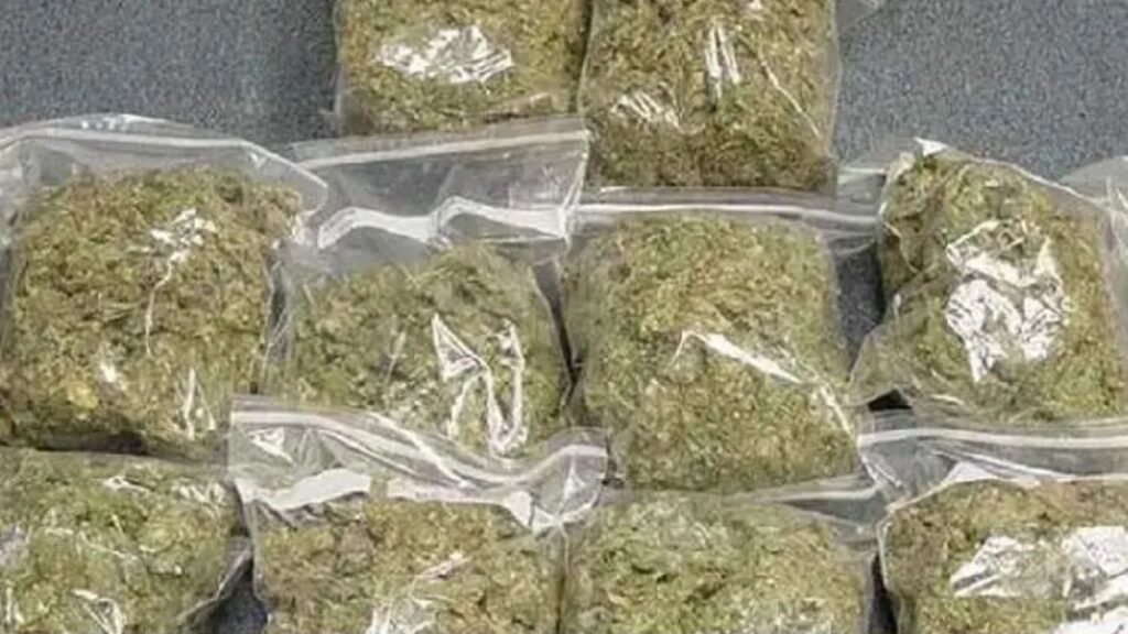 गांजा विक्रीसाठी आलेल्या दोन तस्करांना अटक – क्रांती चौक पोलिसांची कारवाई