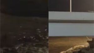 मुंबई कोस्टल रोडवर कार अपघात: गाडी थेट समुद्रात पडली, चालक जखमी