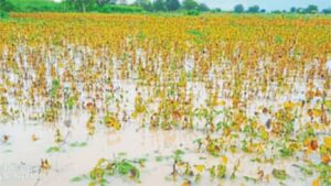 धाराशिवमध्ये अतिवृष्टीच्या नुकसानीवर विशेष ग्रामसभा घेण्याची आमदार राणाजगजितसिंह पाटील यांची मागणी