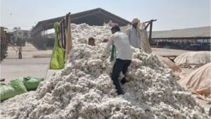 खेडा कापूस केंद्र उघडण्यास विलंब; शेतकरी विक्रीसाठी व्यापाऱ्यांकडे किमान भावात कपाशी विकत