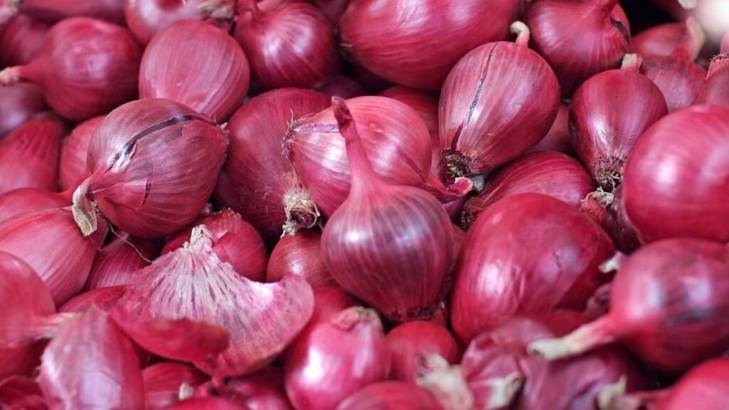 दीपावलीच्या तोंडावर कांदा उत्पादकांसाठी आर्थिक फटका, बाजारभाव फक्त 900-1000 रुपये