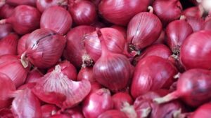 दीपावलीच्या तोंडावर कांदा उत्पादकांसाठी आर्थिक फटका, बाजारभाव फक्त 900-1000 रुपये