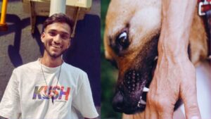 अंबरनाथ : कुत्रा चावल्यामुळे तरुणाचा रेबीजमुळे मृत्यू; उपचाराकडे दुर्लक्ष धक्कादायक