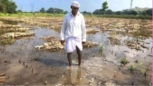 जळगावात वादळी वाऱ्यासह मुसळधार पावसामुळे फटाका विक्रेत्यांचे मोठे नुकसान