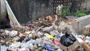 डोंबिवली स्टेशन परिसरात मनसेच्या इशाऱ्यानंतर पालिकेची कडक कारवाई, अनधिकृत फेरीवाल्यांवर ठोसा