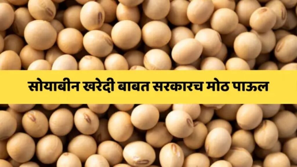अमरावतीत सोयाबीन शासकीय खरेदी नोंदणीला सुरुवात; नाफेड केंद्रांवर शेतकऱ्यांची गर्दी