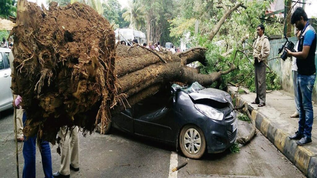 कल्याण ९० फूट रोडवर अवजड वाहनाची झाडाला धडक; नागरिकांमध्ये संताप आणि भीती