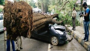 कल्याण ९० फूट रोडवर अवजड वाहनाची झाडाला धडक; नागरिकांमध्ये संताप आणि भीती