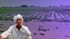 सांगली: अतिवृष्टी मदतीचे पैसे शेतकऱ्यांच्या खात्यात थेट जमा करा; कटिंग करू नका – माजी खासदार संजय पाटील