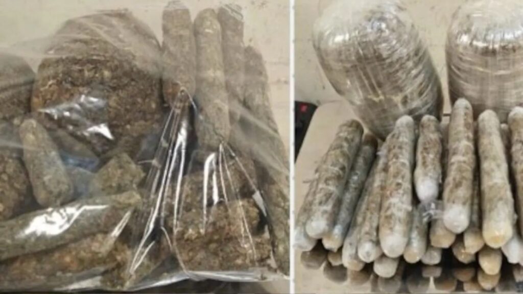 Mumbai Airport : 13 किलो ड्रग्स आणि 87 लाखांचं परकीय चलन जप्त; मुंबई विमानतळावर सीमाशुल्क विभागाच्या सलग 5 मोठ्या कारवाया