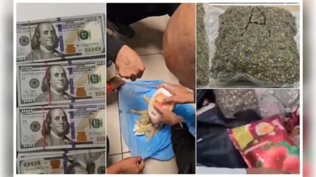 मुंबई विमानतळावर सीमाशुल्कची मोठी कारवाई; 13 कोटींचं ड्रग्स आणि 87 लाखांचं परकीय चलन जप्त