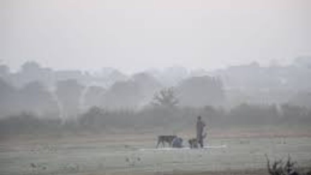 नाशिकमध्ये पारा घसरला; १०.८ अंशांवर तापमान, शहरात गुलाबी थंडीचा अनुभव