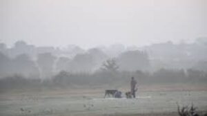 नाशिकमध्ये पारा घसरला; १०.८ अंशांवर तापमान, शहरात गुलाबी थंडीचा अनुभव