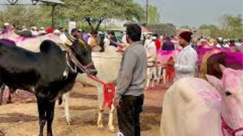 कल्याण बैल बाजार चौकात मध्यरात्रीचा थरार; अल्पवयीन चालकाचा टेम्पो थेट दुकानात
