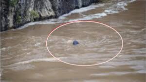 नांदेड सहस्त्रकुंड धबधब्यात भीषण अडचण; पाच महिला आणि दोन मुले प्रवाहात अडकली