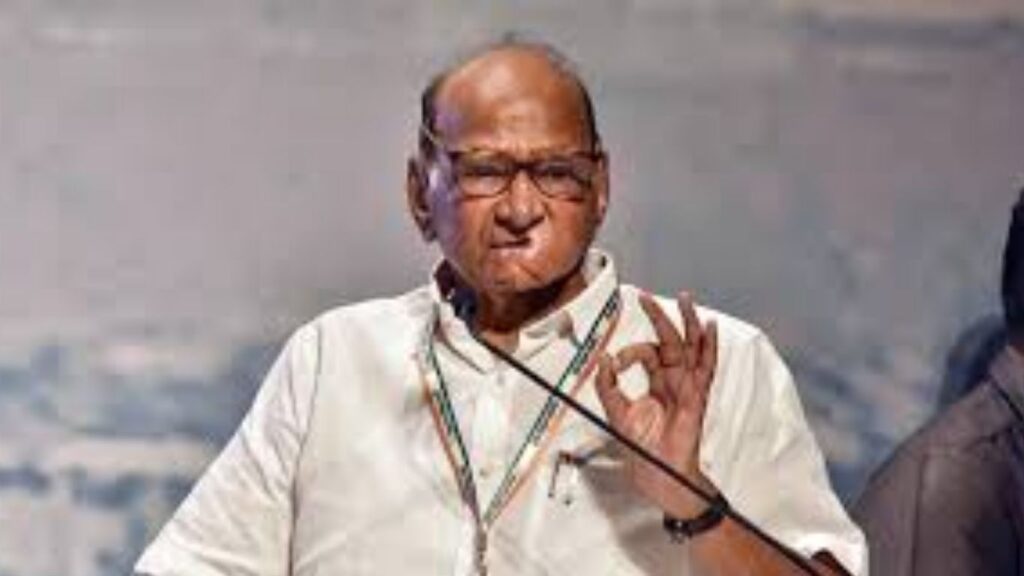 मोहोळ नगराध्यक्ष निवडणूक : राष्ट्रवादी शरद पवार गटाकडून अश्विनी जाधव उमेदवार