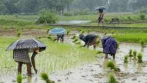 अतिवृष्टीग्रस्त शेतकऱ्यांना दिलासा; राज्य सरकारकडून कर्जवसुलीला १ वर्षांची स्थगिती