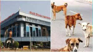 PCMC कडून तंत्रज्ञानाधारित रेबीज नियंत्रण मोहीम सुरू; हेल्पलाईन आणि रॅपिड रिस्पॉन्स टीम कार्यान्वित