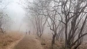 महाराष्ट्रात थंडीचा कडाका वाढला; धुळ्यात ५.४ अंशांसह हंगामातील नीचांकी तापमान