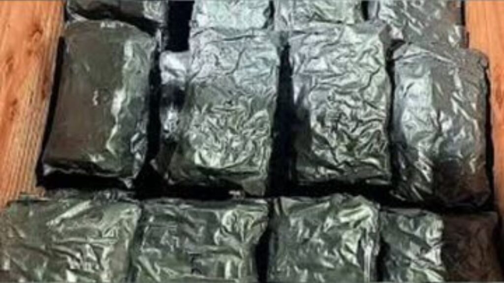 Pune Crime: पुणे विमानतळावर 2 कोटींचा हायड्रोपोनिक गांजा जप्त; संशयास्पद हावभावांमुळे तस्कर अडकला