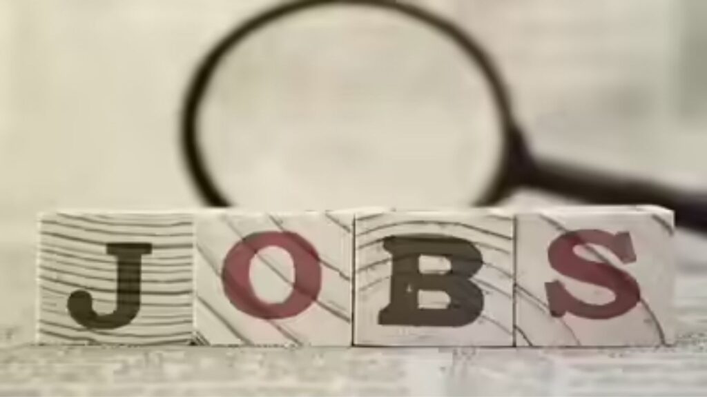 पुण्यात रोजगाराची सुवर्णसंधी! 16 डिसेंबर रोजी 300+ रिक्त पदांसाठी भव्य प्लेसमेंट ड्राईव्ह