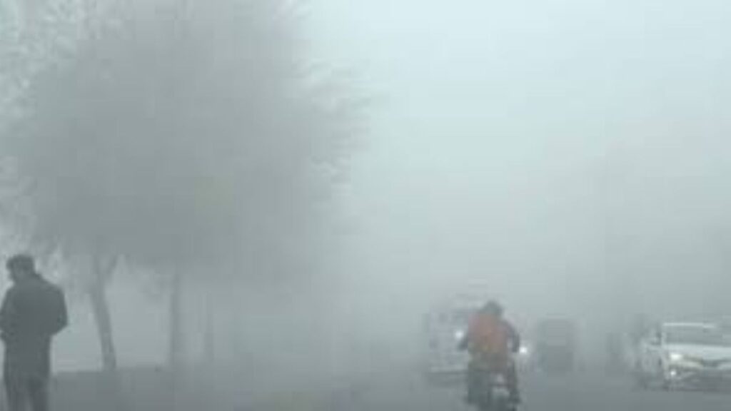 IMD Weather Update: महाराष्ट्रावर थंडीचे संकट; पुढील 24 तासांत थंडीची लाट, IMD कडून येलो अलर्ट जारी