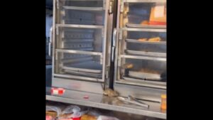 KFC चं चिकन खाणं ठरू शकतं धोकादायक? किचनमध्ये उंदरांचा वावर; धक्कादायक VIDEO व्हायरल