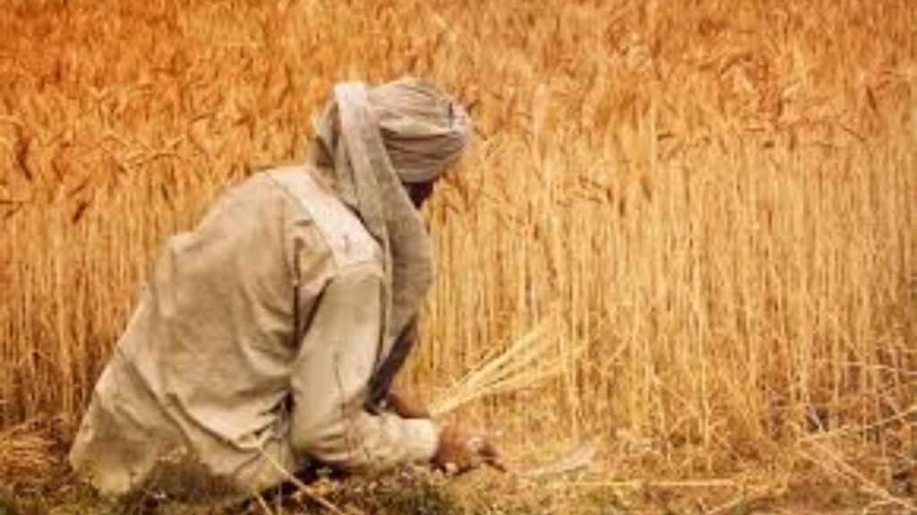 Chandrapur News: कर्जासाठी खरंच किडनी विकली? शेतकऱ्याच्या आरोपातून उघडकीस मानवी अवयव तस्करी; व्हिएतनाम-कंबोडिया कनेक्शनचा धक्कादायक खुलासा