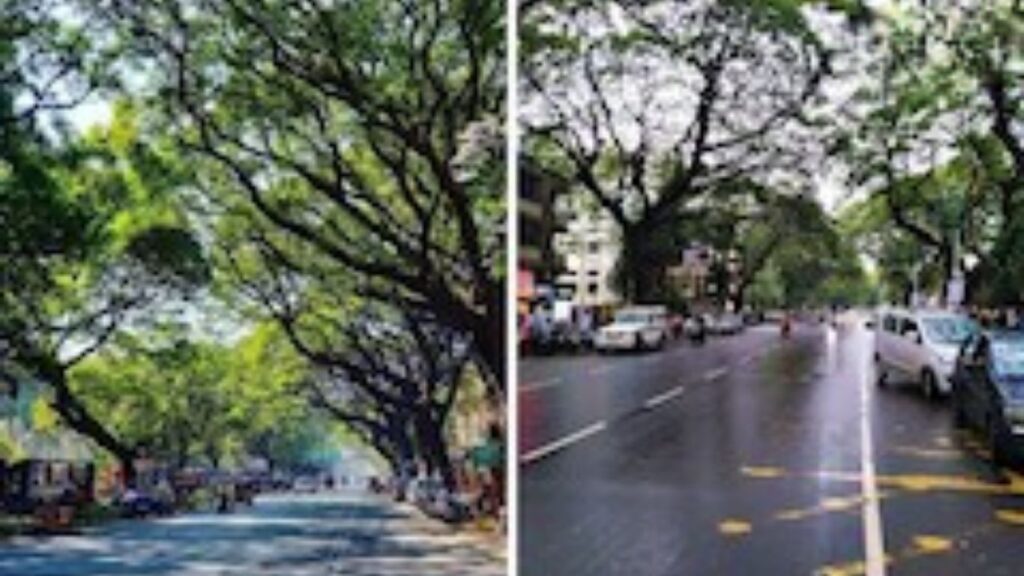 Pune News : 50 पावसाळे, शून्य खड्डे! पुण्याच्या JM Road ला 1 जानेवारीला सुवर्णमहोत्सव, वाचा यशाचं रहस्य