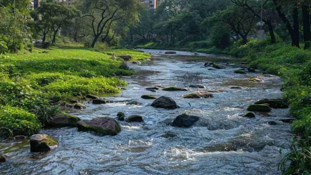 मिठीसह चारही नद्यांच्या शुद्धीकरणासाठी मुंबई महापालिकेचा ‘मेगा प्लॅन’ तयार
