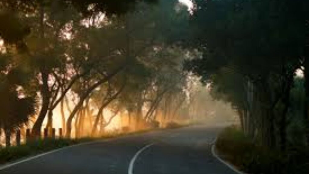 Pune News: आंतरराष्ट्रीय स्पर्धेसाठी 75 दिवसांत पुण्यातील 300 किमी रस्ते चकाचक; पुणे ग्रँड टूरची जोरदार तयारी