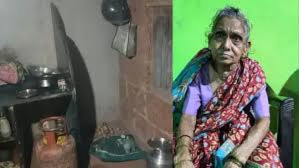 Sindhudurg Crime: आई अंगणात बसलेली असताना मुलाने छतावरून गोळी झाडली, जन्मदात्या आईची निर्घृण हत्या