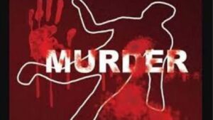 हिंगोलीत शेतीच्या वादातून रक्ताचे नाते तुटले; सख्ख्या भावाची कुऱ्हाडीने निर्घृण हत्या