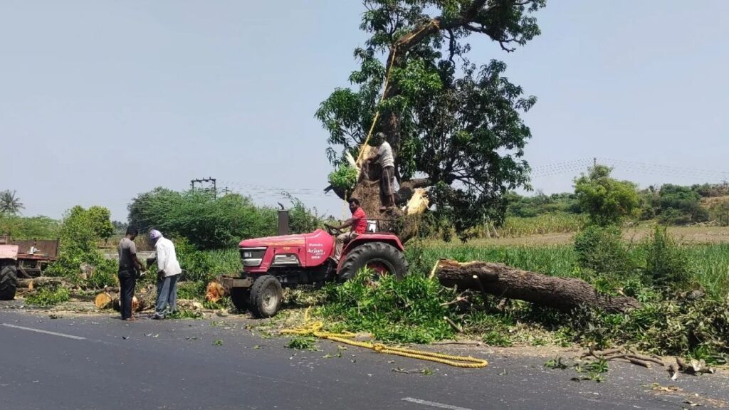 पालखी महामार्गावर झाडतोड, ठेकेदाराने पर्यावरणाकडे दुर्लक्ष; “वृक्षवल्ली आम्हा ना सोयरी”