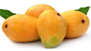 पुण्यात हापूस आंब्याची लवकर हजेरी; गुलटेकडी मार्केट यार्डात पेटीला १५ हजारांचा दर