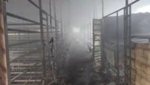 कर्जत येथे बकरी फार्मला भीषण आग; 400 बकऱ्या आणि 350 कबुतरांचा होरपळून मृत्यू