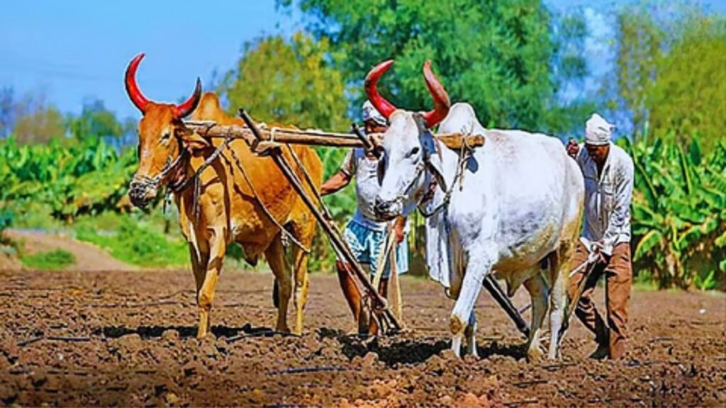 Farmer Loan Waiver : 30 जूनपूर्वी शेतकरी कर्जमाफी; राज्यातील 25 लाख बळीराजांना मोठा दिलासा