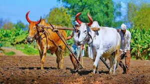 Farmer Loan Waiver : 30 जूनपूर्वी शेतकरी कर्जमाफी; राज्यातील 25 लाख बळीराजांना मोठा दिलासा