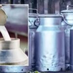Milk Price Hike: १ मार्चपासून मुंबईत म्हशीच्या दुधाचे दर वाढले; प्रति लिटर ₹९३ नवा दर लागू