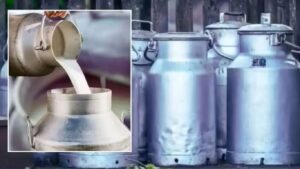 Milk Price Hike: १ मार्चपासून मुंबईत म्हशीच्या दुधाचे दर वाढले; प्रति लिटर ₹९३ नवा दर लागू