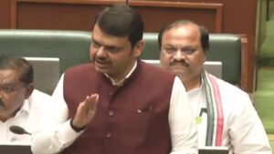 महाराष्ट्रात लग्नसमारंभातील कृत्रिम फुलांवर कारवाई मुख्यमंत्री देवेंद्र फडणवीसांचा GR लवकरच