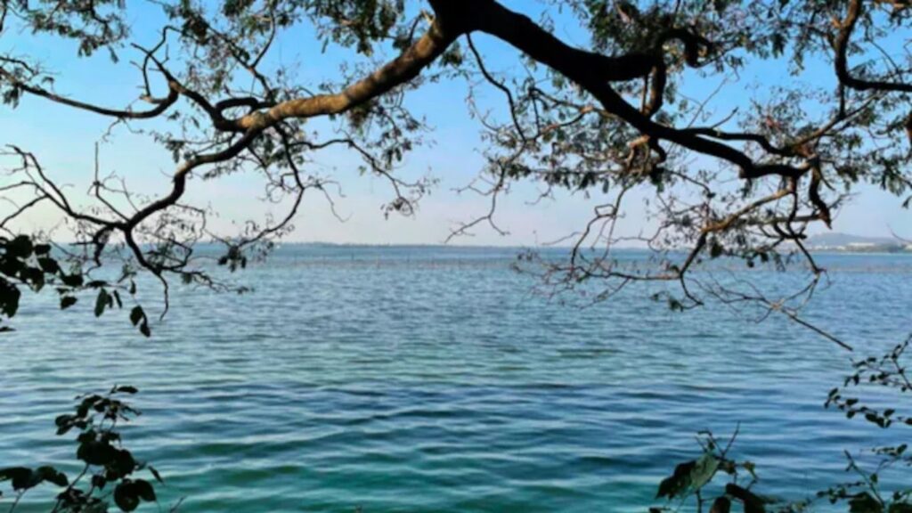 भांडुप क्राईम: वर्गातील दादागिरीचा राग; 8 वीतील तिघांनी मित्राची हत्या करून विहार तलावात फेकला मृतदेह