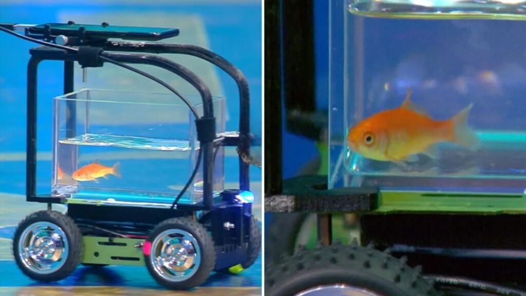 Follow us on our social media handles: Instagram – https://www.instagram.com/newsdotz/ YouTube – https://www.youtube.com/@NewsDotz Facebook – https://www.facebook.com/NewsDotz/ Twitter – https://x.com/NewsDotz Also Read: Pune’s Latest Information अजब रेकॉर्ड! ‘ब्लॉब’ गोल्डफिशने 40 फूट गाडी चालवत जिंकला Guinness World Records किताब; व्हिडिओ व्हायरल