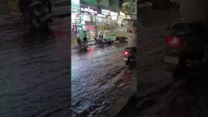 मांजरी बुद्रुकमध्ये कॅनाल ओव्हरफ्लो; ४० घरांत पाणी शिरले, जनजीवन विस्कळीत