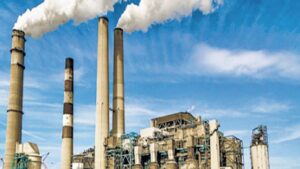 औद्योगिक विकास की पर्यावरणाची अधोगती? खाड्यांतील प्रदूषणाने वाढले फ्लेमिंगो, दुर्मिळ पक्षी नामशेष होण्याच्या उंबरठ्यावर