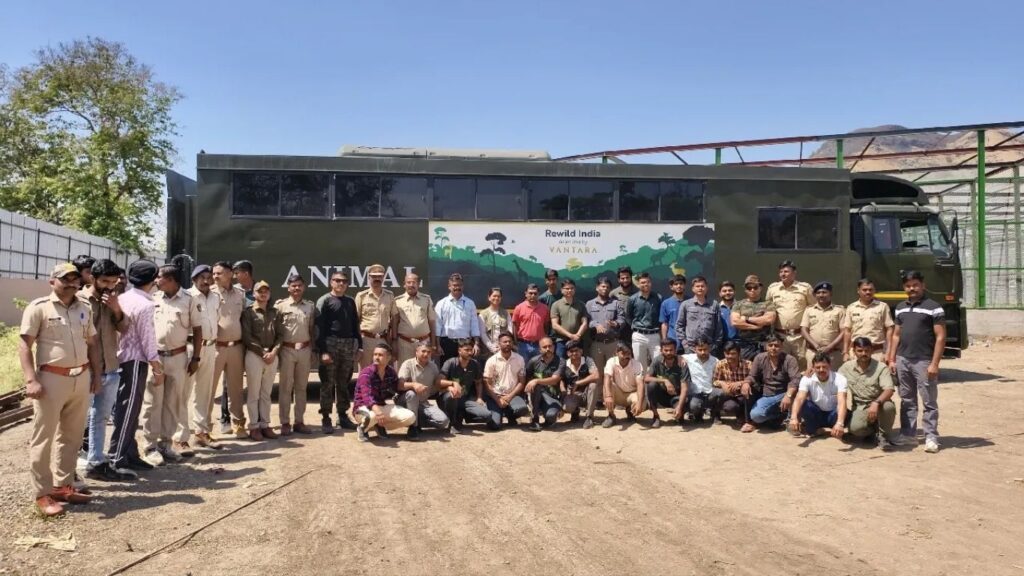 Junnar Leopard News: जुन्नरमधून 20 बिबट्यांचे गुजरातमधील ‘वनतारा’ केंद्रात स्थलांतर