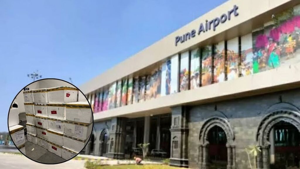 पुणे विमानतळावर 26.8 कोटींची गांजा जप्ती थायलंडहून आलेल्या पार्सलमधून उघड झाला रॅकेट